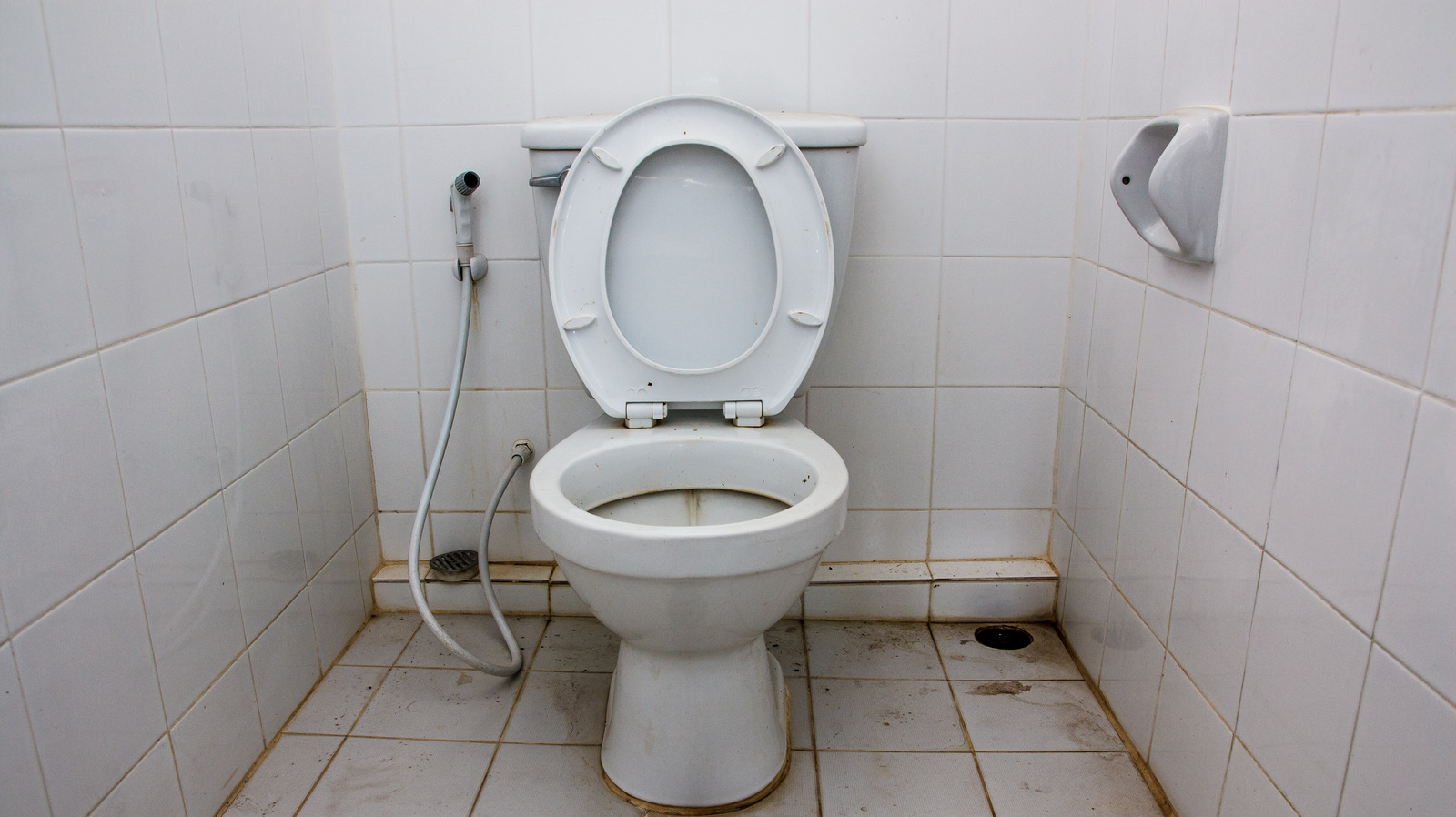 Sifon ve rezervuar tamiri